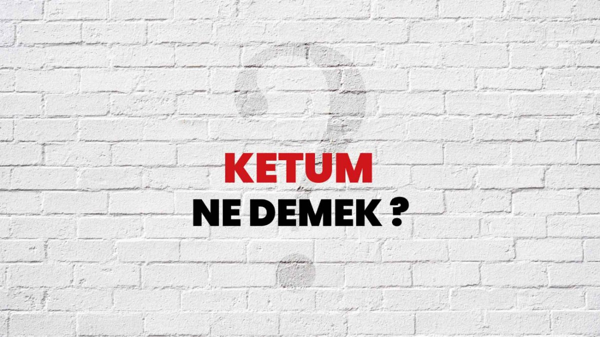 Ketum Ne Demek? - Türkçede Sessizliği Anlatan Bir Kelime