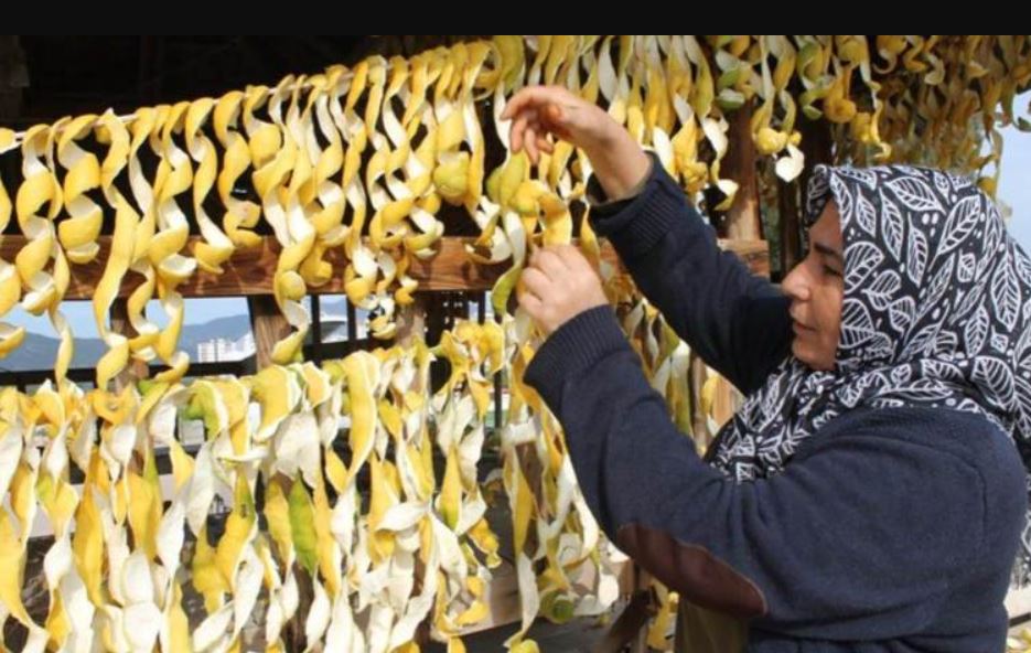 Çöpe atılacak limonları evinin önüne döktüp kuruttu! Şimdi limondan daha pahalıya satıyor: Üstelik pazar sorunu da yok