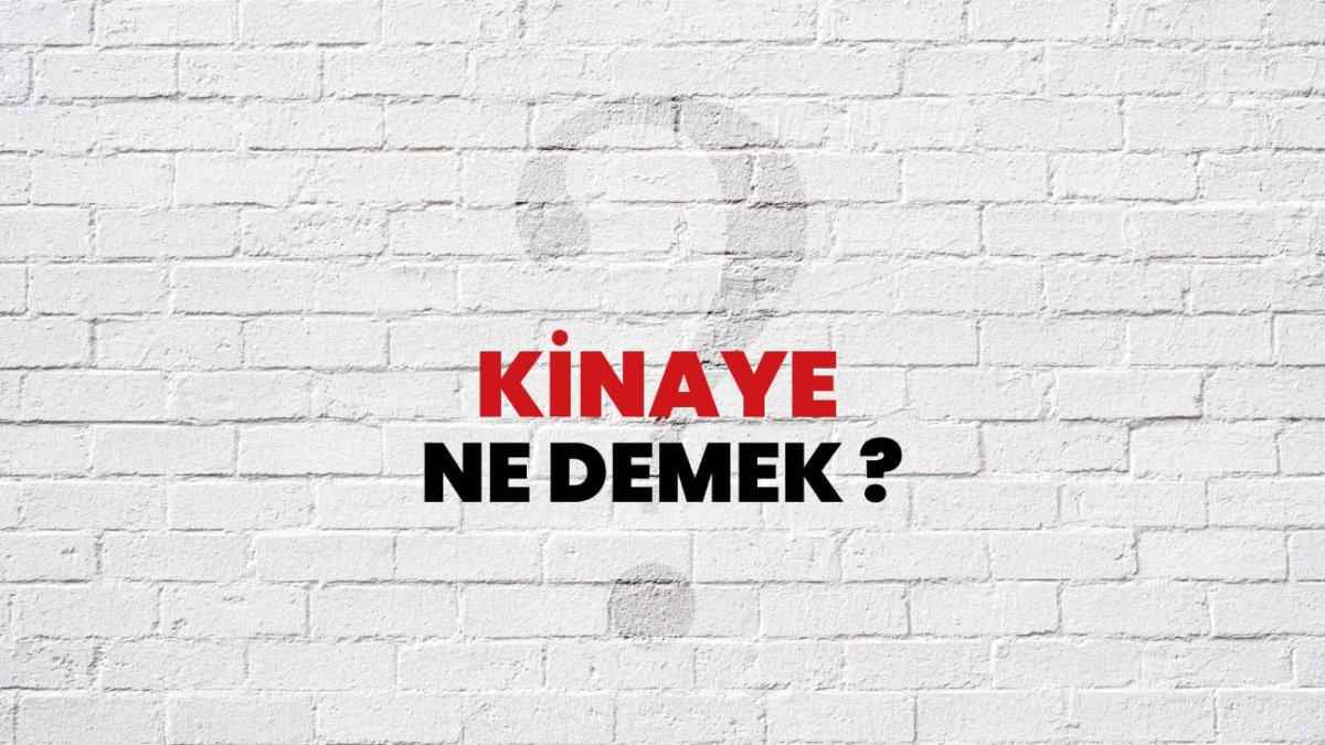 Kinaye Ne Demek? - İncelemesi ve Açıklaması
