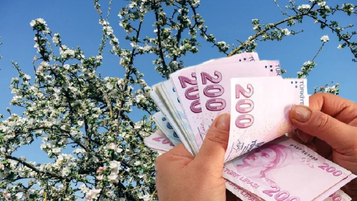 Dikimden sonra hemen verim alınıyor! Üreticiler için resmen hazine, bunu eken üretici paraya para demiyor