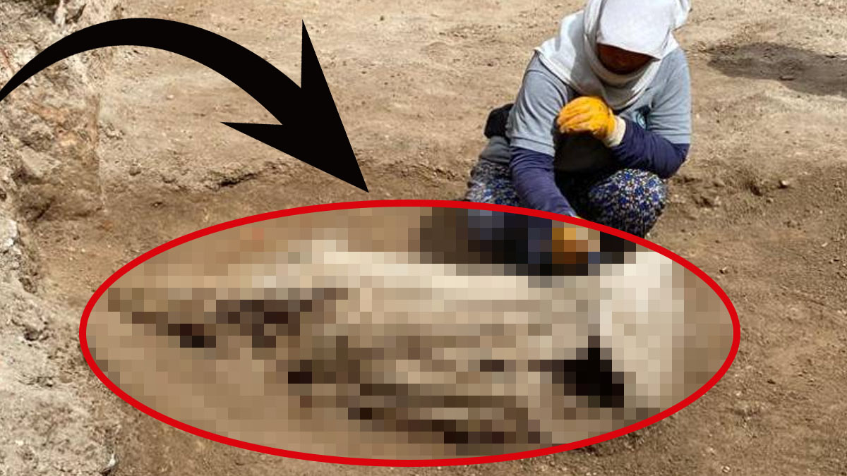 O ilimizden tarih fışkırıyor: İlham perisinin sırrı 2 bin 175 yıl sonra ortaya çıktı