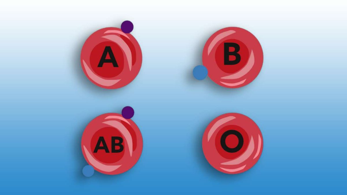 Kan Grupları: Sağlık ve Genetik Bağlantıları