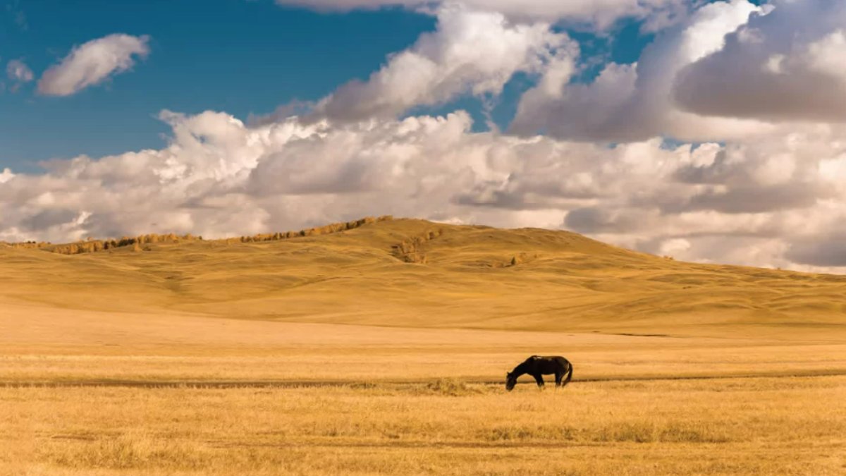 Karasal İklim: Dünya Üzerindeki Etkileri ve Önemleri