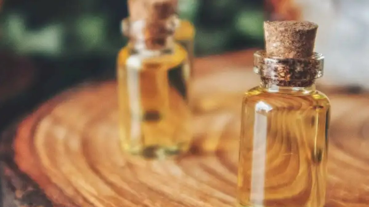 Karınca Yumurtası Yağı: Cilt ve Saç Bakımının Sırrı