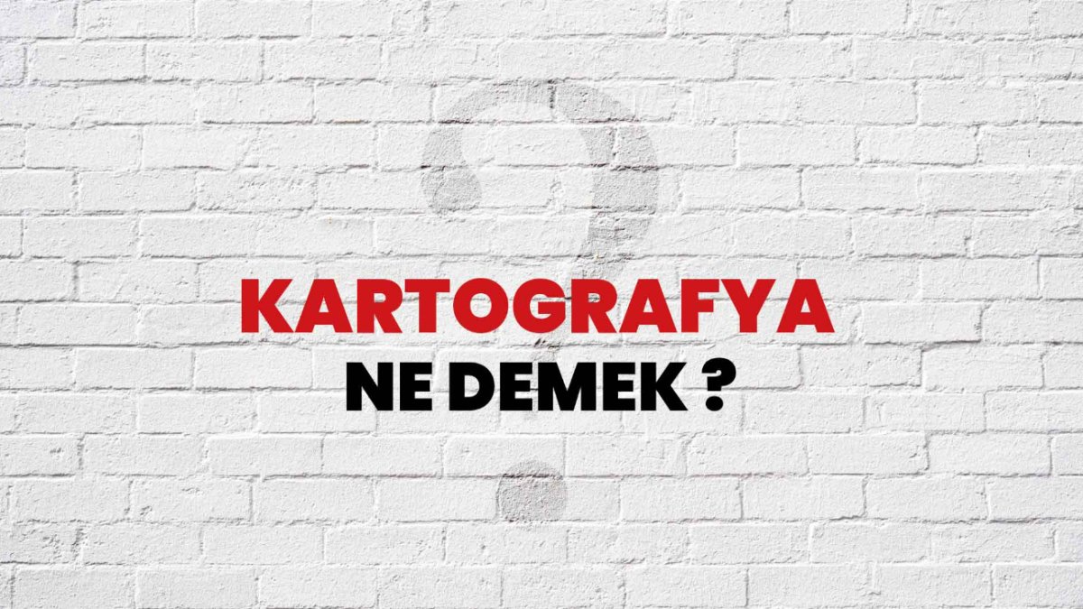 Kartografya Nedir: Harita Biliminin Temelleri