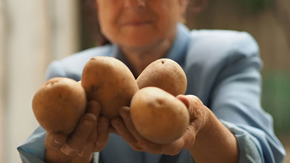 Böyle görünen patatesi yediyseniz hemen ambulansı arayın! Resmen zehir yemişsiniz