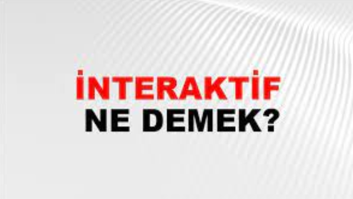 İnteraktif ne demek?