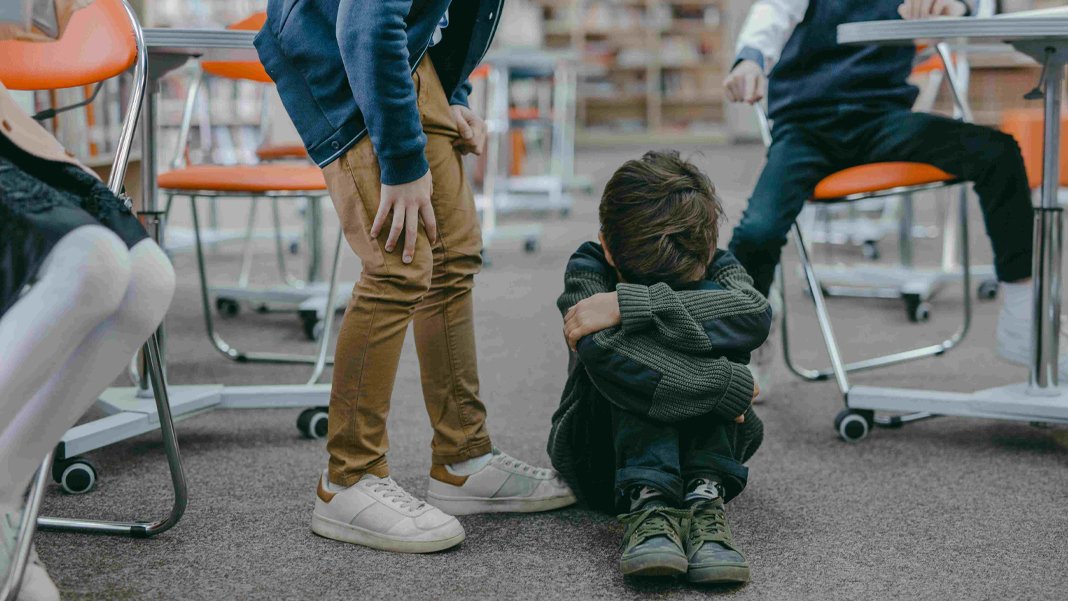 'Akran zorbalığı' PISA araştırmasında: Okullarda 'fiziksel, ilişkisel, sözel ve gasp' zorbalığı var