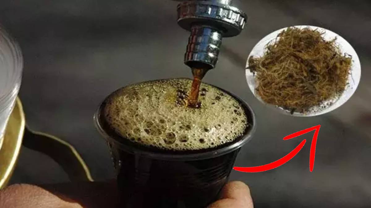 Osmanlı padişahları şifa için bunu kullanıyordu! Bir tanesinde 70 çeşit fayda var: Evliya Çelebi yüzyıllar önce bunu önermiş