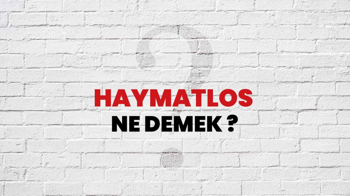 haymatlos-ne-demek