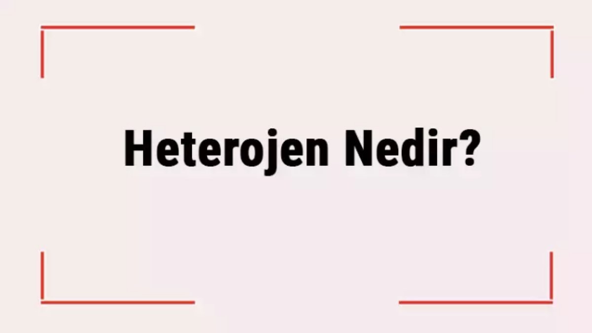 Heterojen Nedir: Karmaşık Bir Kavramın Basit Açıklaması