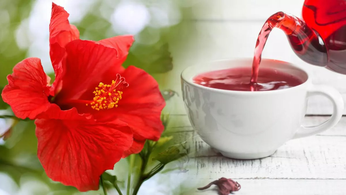 Hibiskus Çayı: Sağlığınıza İyi Gelen Harika Bir İçecek