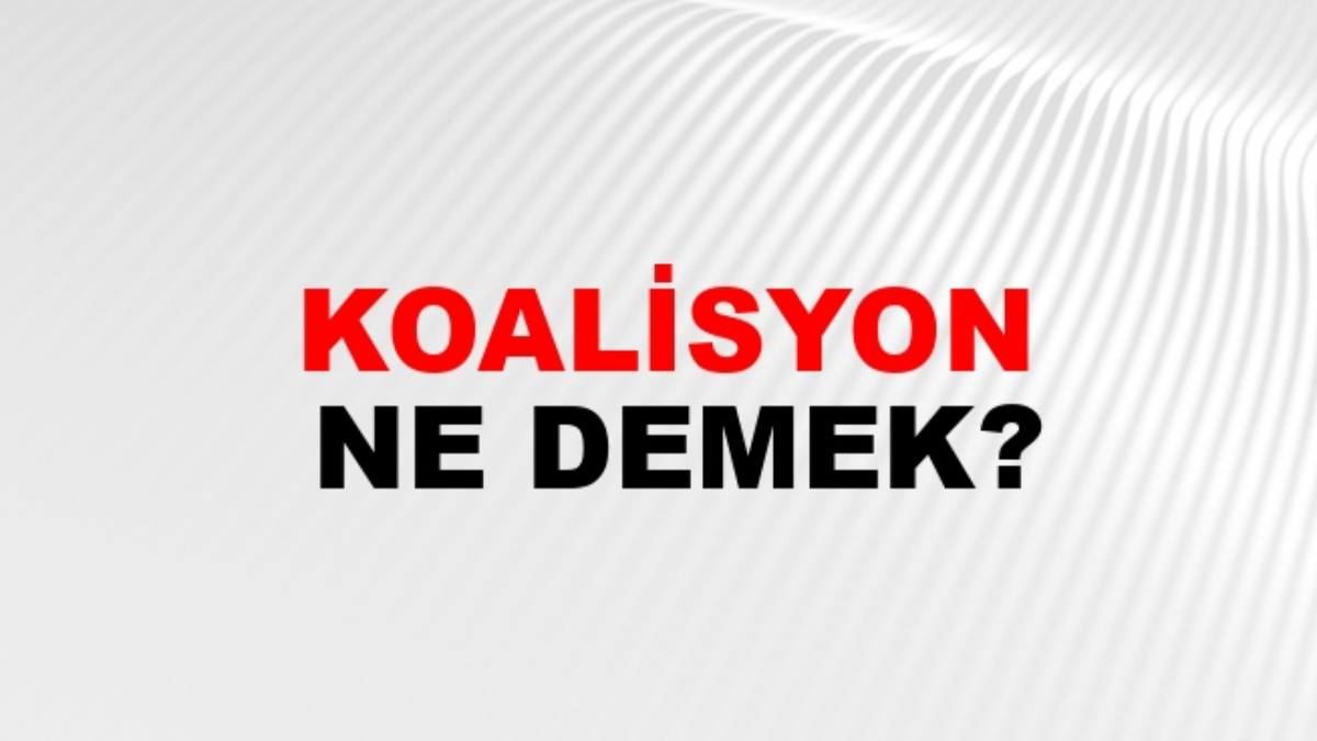 Koalisyon ne demek?