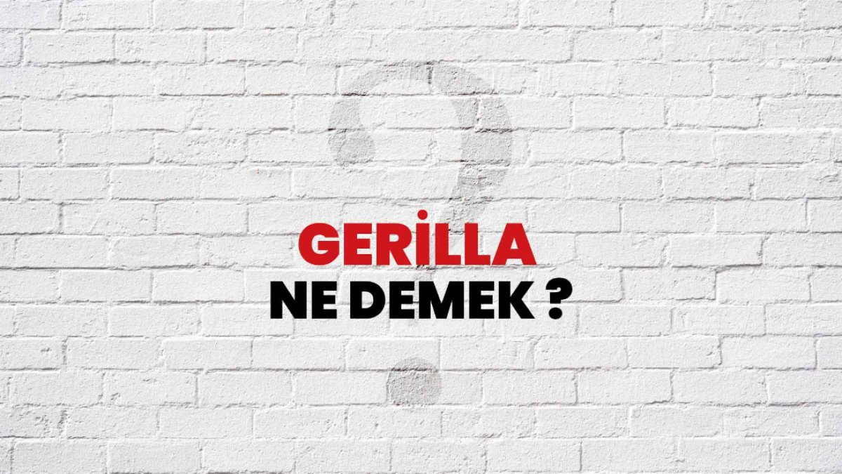 Gerilla Ne Demek? Türkçede Anlamı ve Tarihçesi