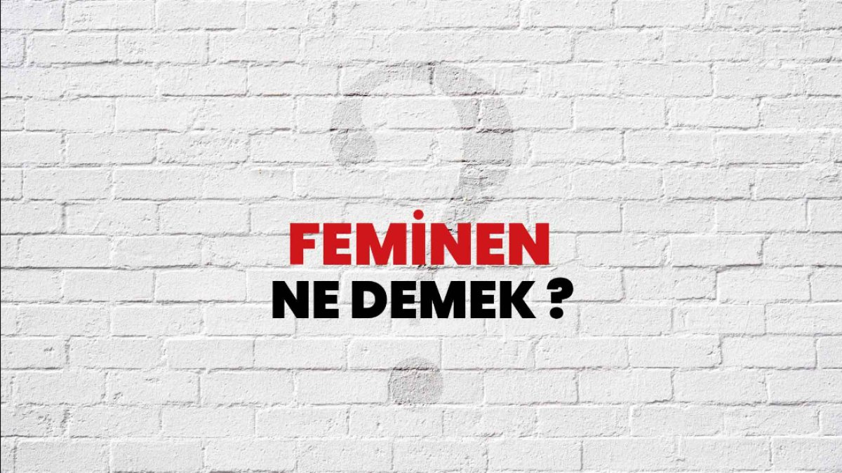 Feminen Ne Demek: Anlamı, Özellikleri ve Toplum Üzerindeki Etkileri
