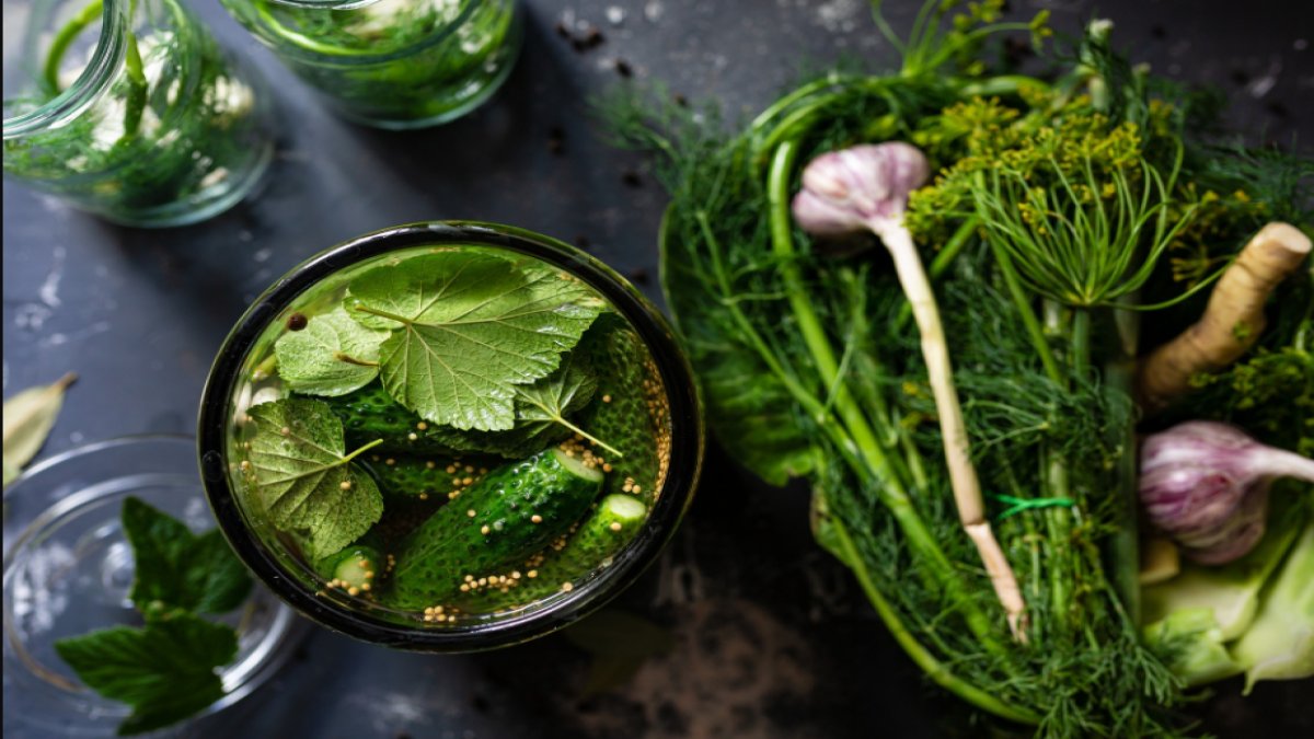 Fermantasyon Nedir? Fermentasyonun Tanımı ve Önemi