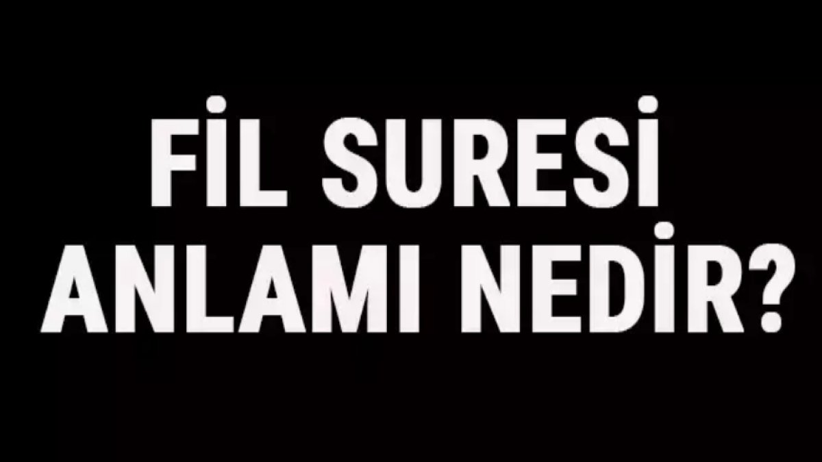 Fil Suresinin Anlamı: İslam'da Önemi ve Tefsiri