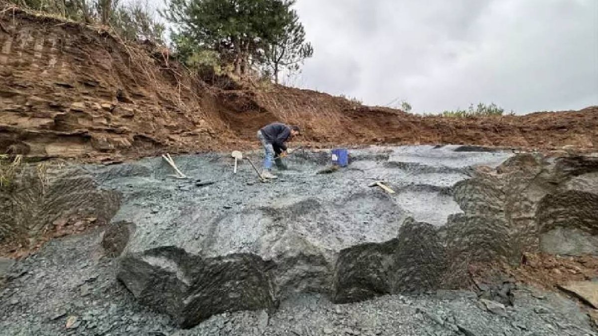 Dededen kalma 150 yıllık yöntemle ekmeğini taştan çıkarıyor! 100 kiloluk kayadan sanat eseri:Tanesi 750 TL’den bereket getiriyor