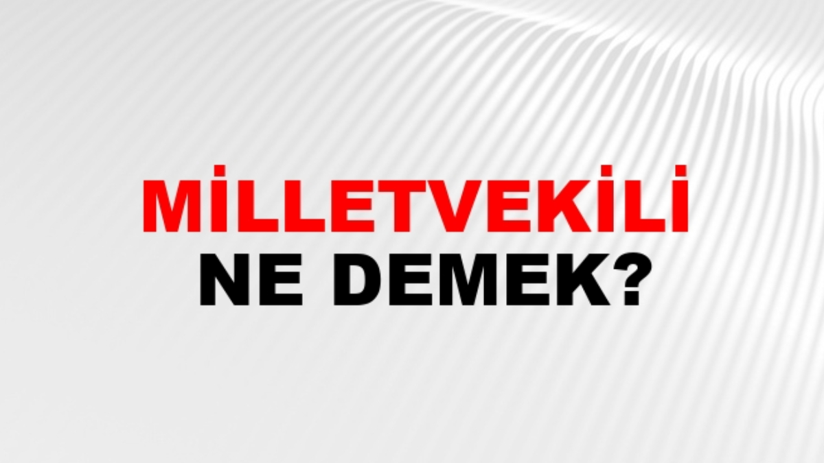 Milletvekili ne demek?