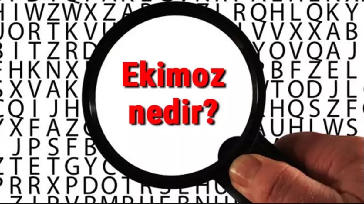 Ekimoz Nedir: Derinlemesine Bir İnceleme