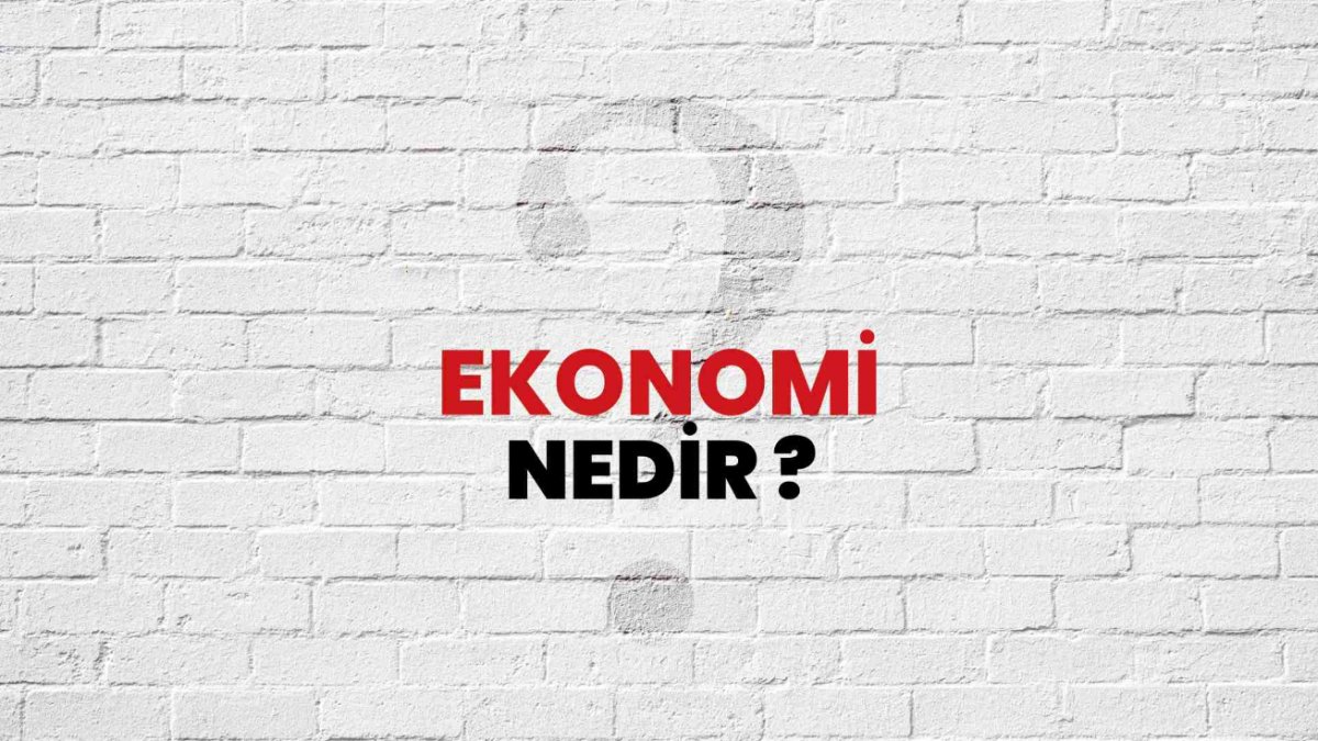 Ekonomi Nedir: Temel Kavramlar ve İşleyiş