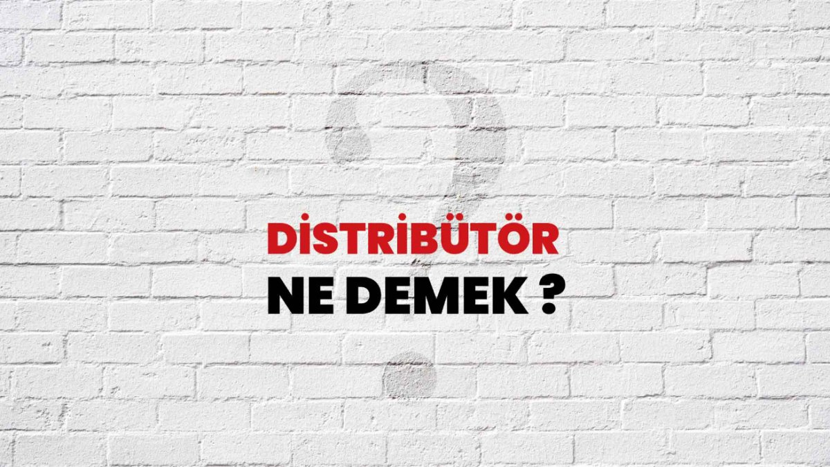 Distribütör Nedir: Ürün Dağıtımında Anahtar Rol