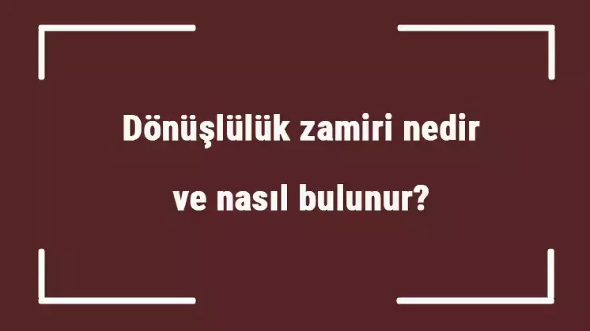 Dönüşlülük Zamiri: Türk Dilinin Gizemli Unsurları