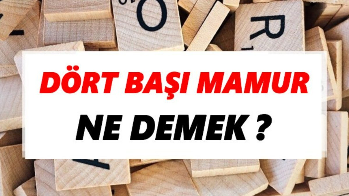 Dört Başı Mamur Ne Demek: Türk Dilindeki Özel Bir Deyim