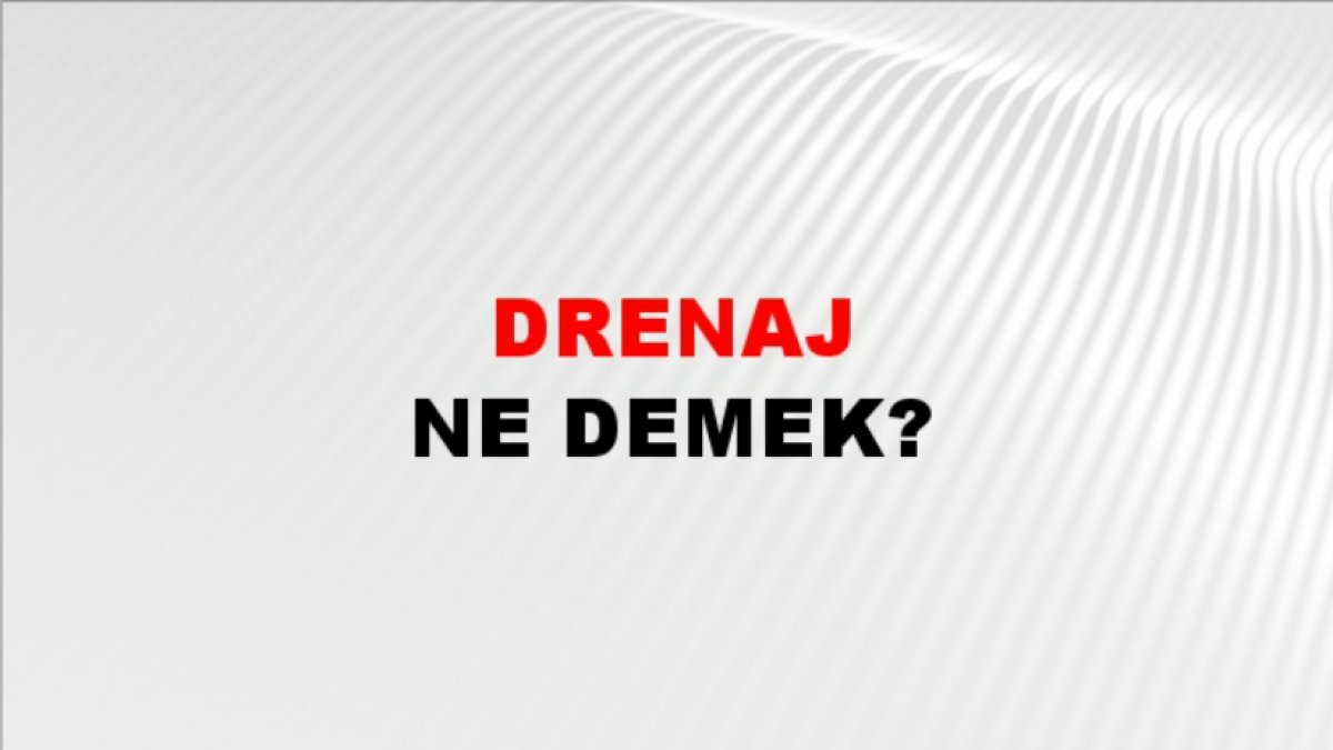 Drenaj Nedir: Toprakta Su Yönetimi Hakkında Bilmeniz Gerekenler