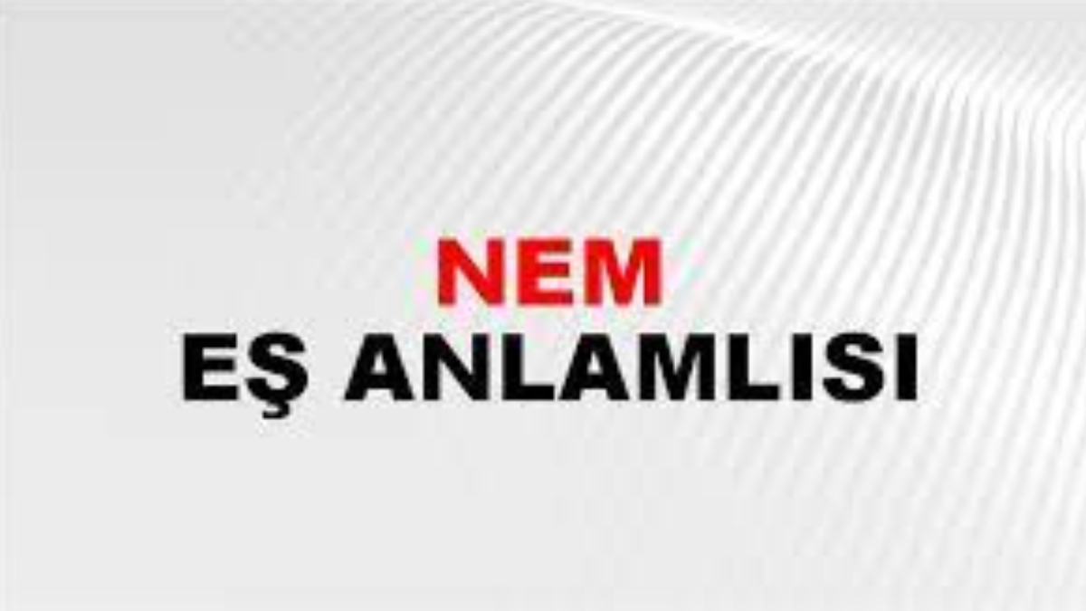 Nem eş anlamlısı