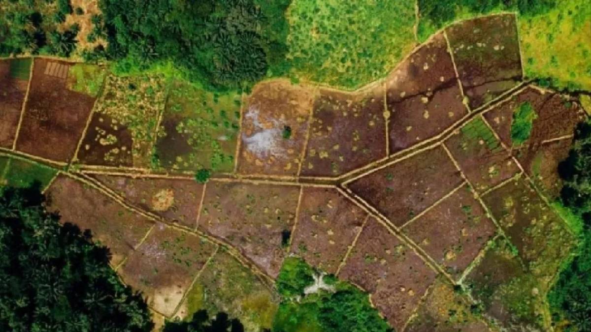 Cebinde 45 bin TL’si olan arsa alacak! Milli Emlak’ın bu kampanyası ekmek su gibi satacak: Yatırım için büyük fırsat