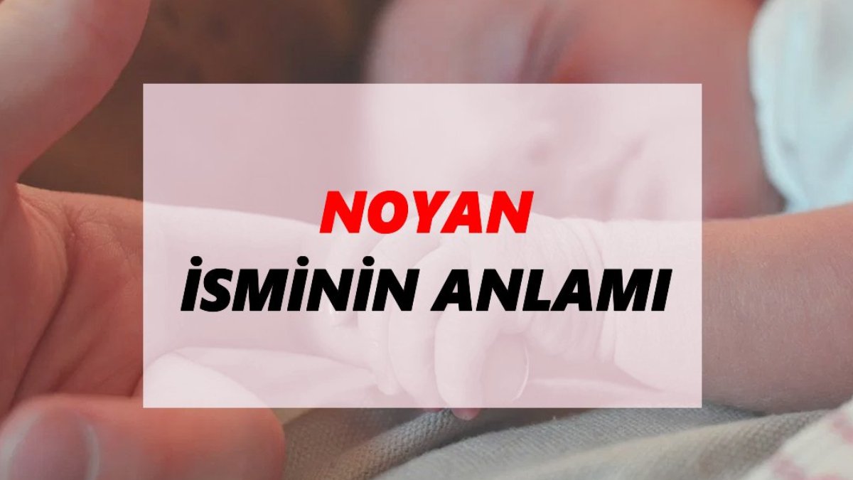 Noyan ne demek?