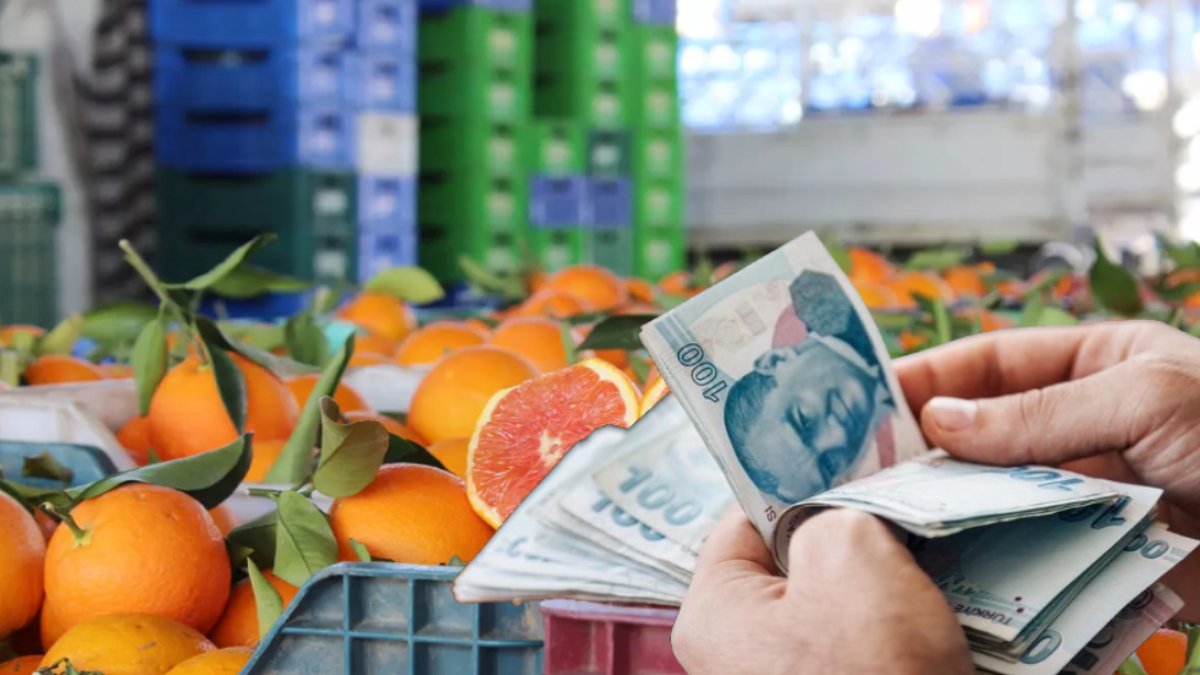 Türkiye'de para etmiyor diye ağaçları kesiliyor ama... Dünyada fiyatlar uçuşa geçti! Yüzde 75 zam