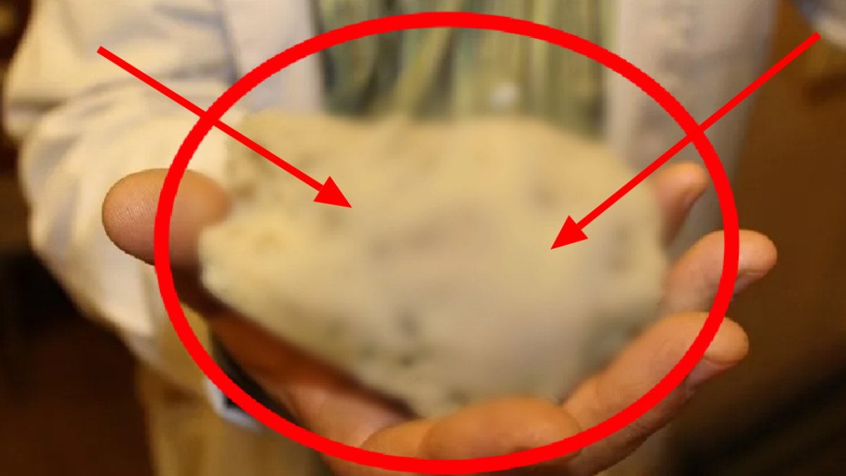 Denizin dibinden çıkıyor, değeri altınla yarışıyor!  Bir kilosu 7-8 bin TL, ev temizliğinden sivilceye kadar pek çok faydası var