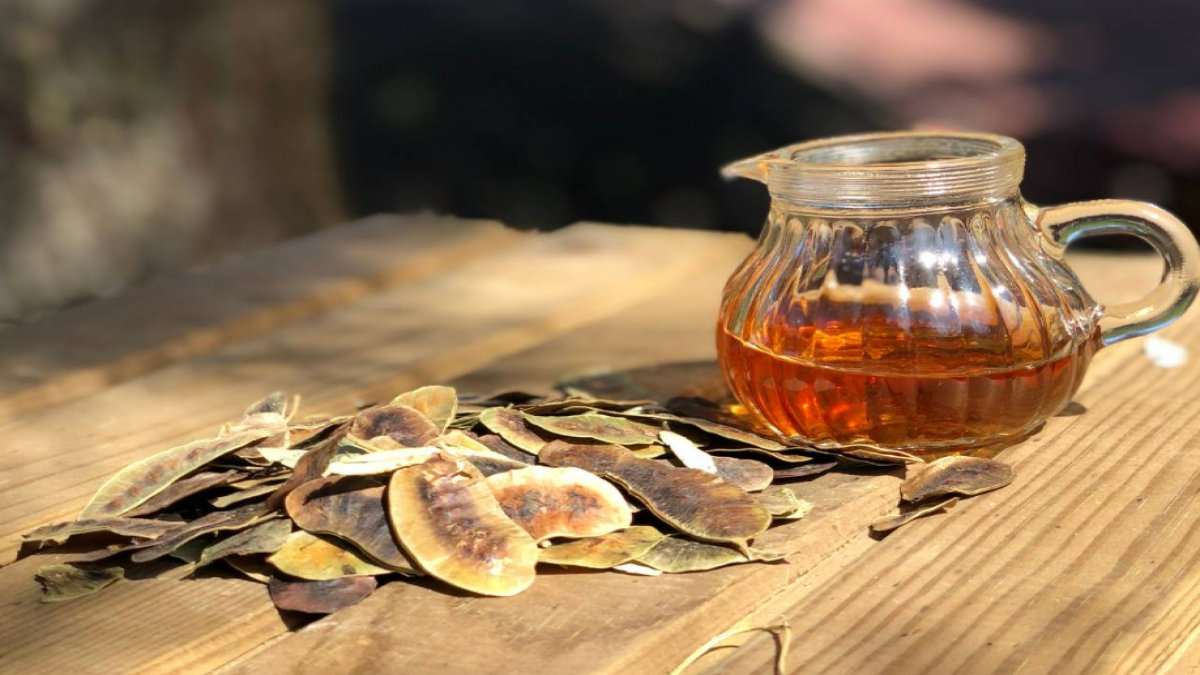 Açlık Otu: Sağlığımıza Katkı Sağlayan Doğal Bir Bitki