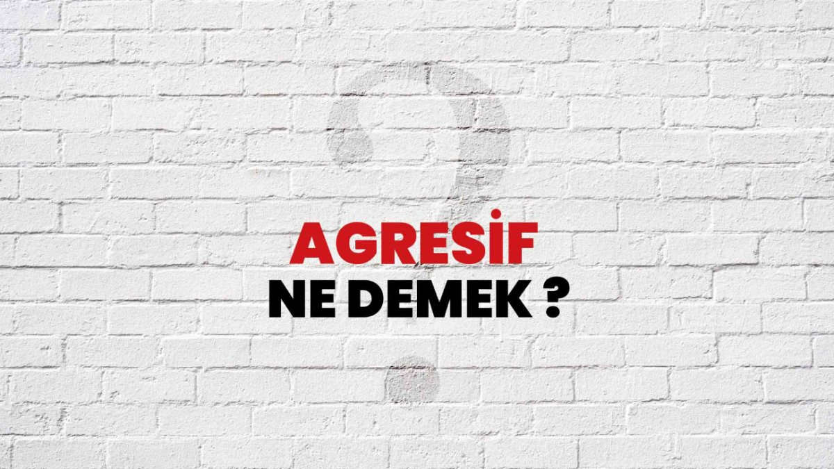 Agresif Ne Demek? - Kavramın Anlamı ve Yorumları