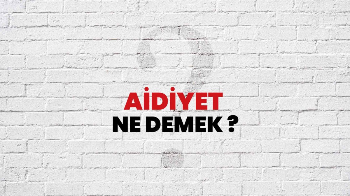 Aidiyet Ne Demek?