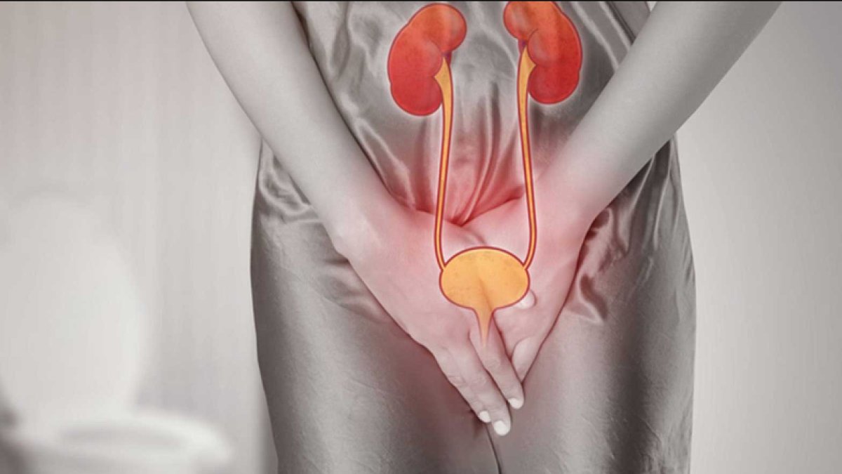 Akut Sistit Nedir? - İdrar Yolu Enfeksiyonlarının Anatomisi ve Tedavisi