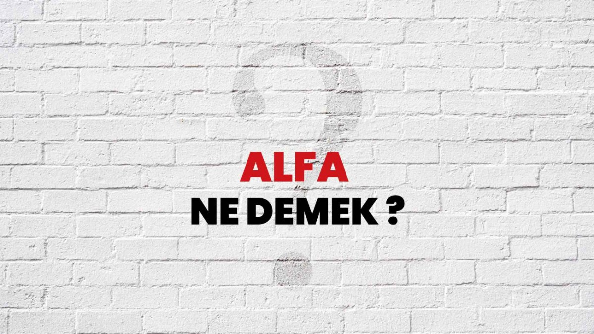 Alfa Ne Demek: İş Hayatında ve Toplumda Anlamı