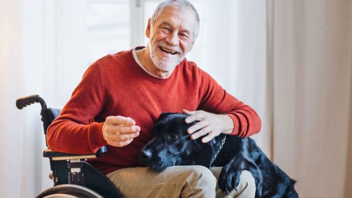 ALS Hastalığı Nedir?