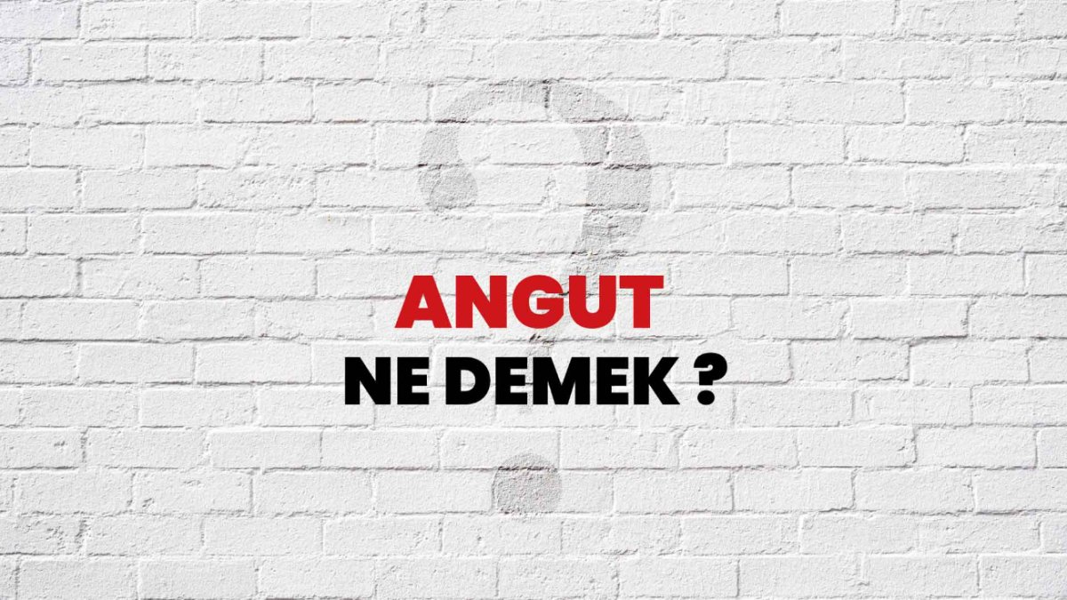 Angut Ne Demek? – Türkçede Anlamı