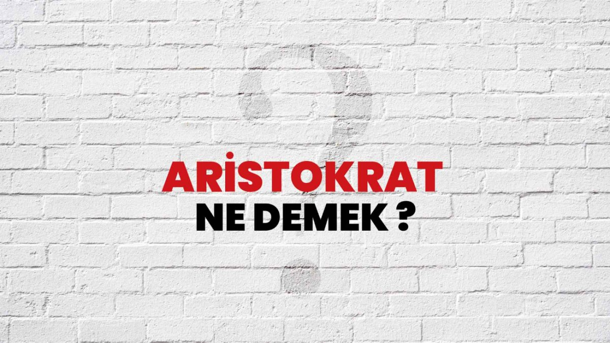 Aristokrat Ne Demek: Kökeni ve Anlamı