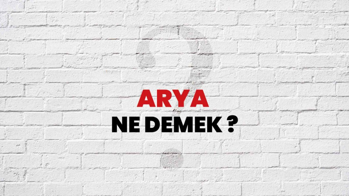 Arya Ne Demek?