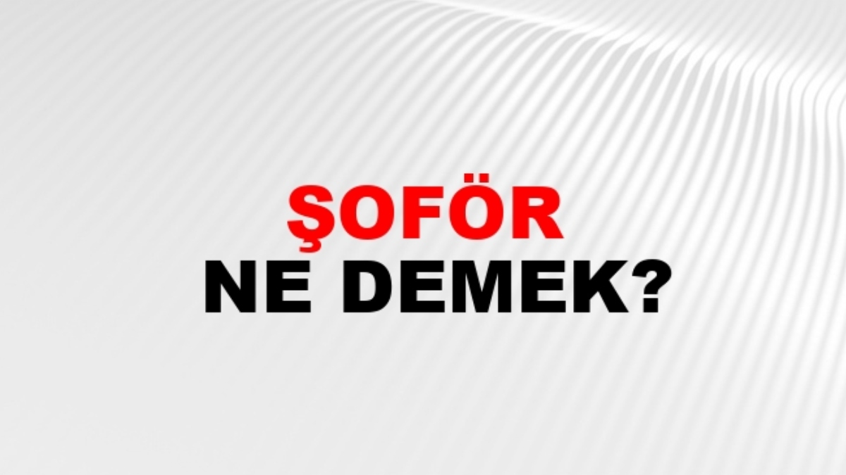 Şoför nasıl yazılır?