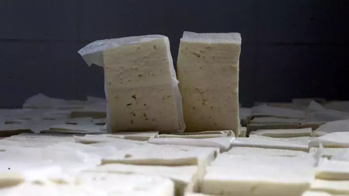 Peynirin tuzunu almanın en basit yolu! Fazla tuzu sünger gibi çekiyor, işte mandıracıların basit yöntemi