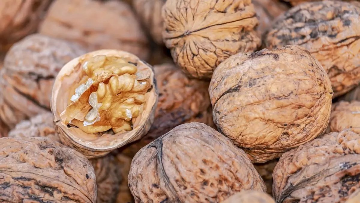 Ceviz kırmak için hiçbir alete ihtiyacınız yok! Sadece bu yöntemle ceviz kırabileceksiniz: Meğer ne kadar kolaymış