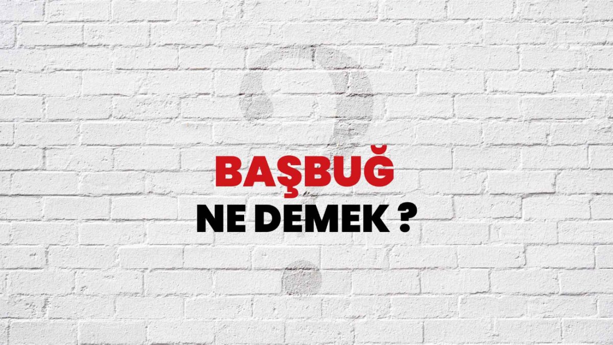 Başbuğ Ne Demek: Türk Dilinin Gürültülü Sözcüğü