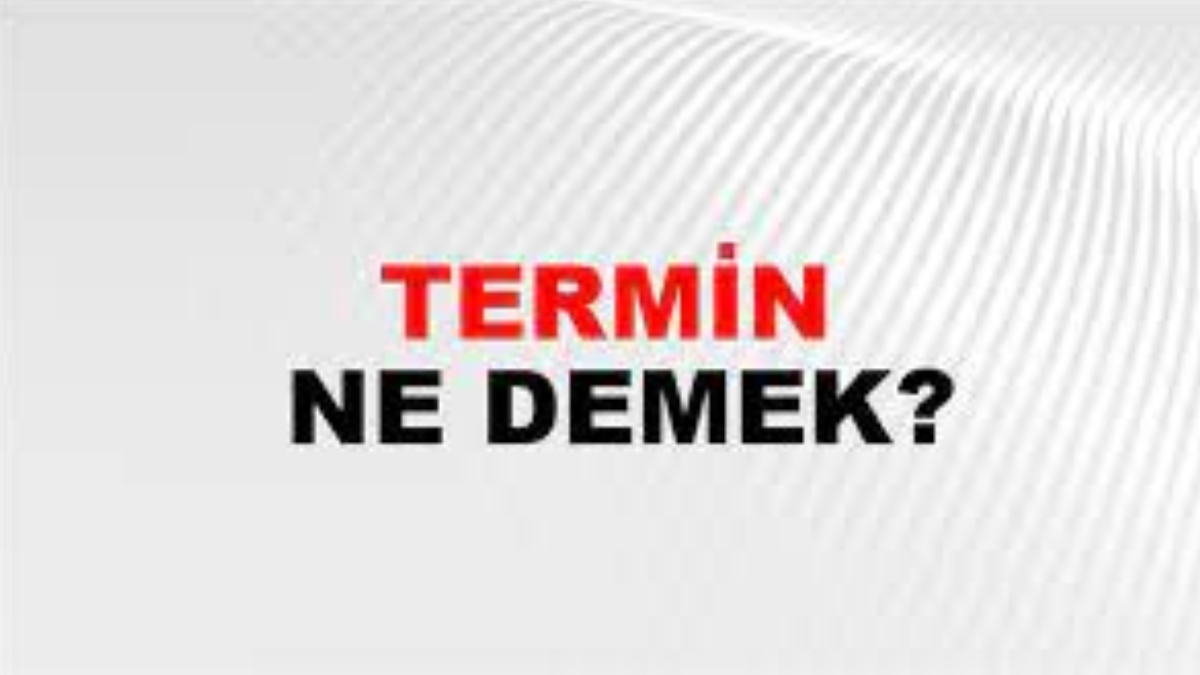 Termin ne demek?