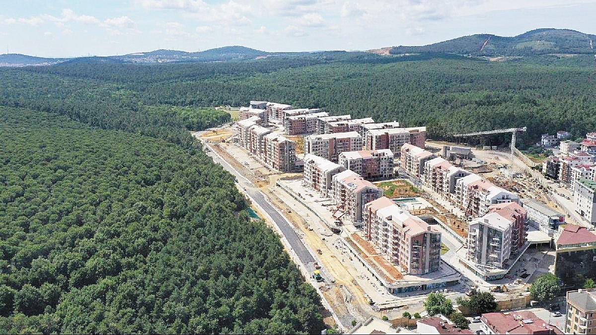 Son yeşil alan yok olana kadar