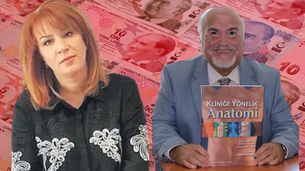 Türkiye'de her gün yeni dolandırıcılık vakası:  Profesör çiftten 55 milyon liralık vurgun